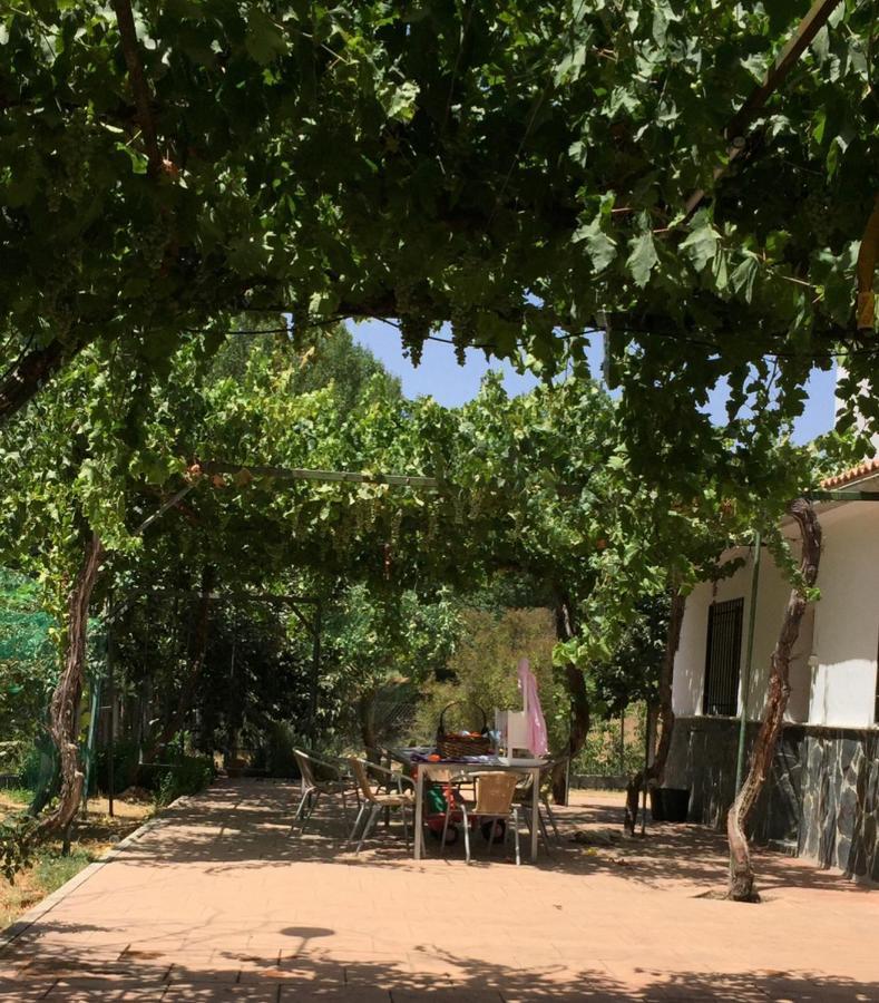 فيلا Casa De Ines ألاما دي غرانادا المظهر الخارجي الصورة